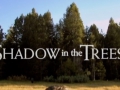 Shadow in the Trees
