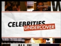 Celebrities Undercover
